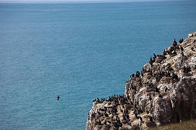 《哥谭骑士》或是首款登陆Switch 2的第三方游戏